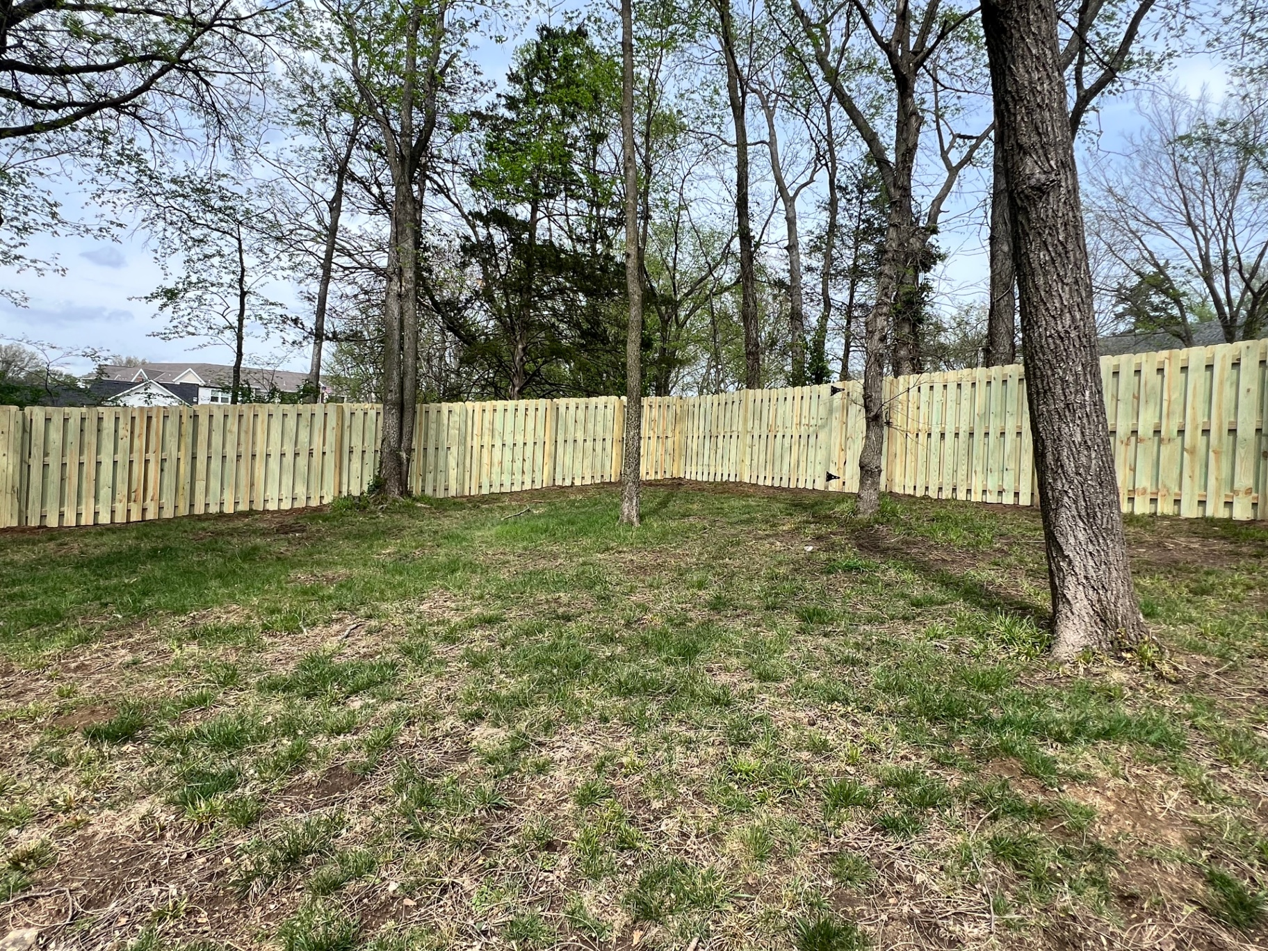 6' pressure treated pine shadowbox fence wrapping a wooded backyard with mature trees