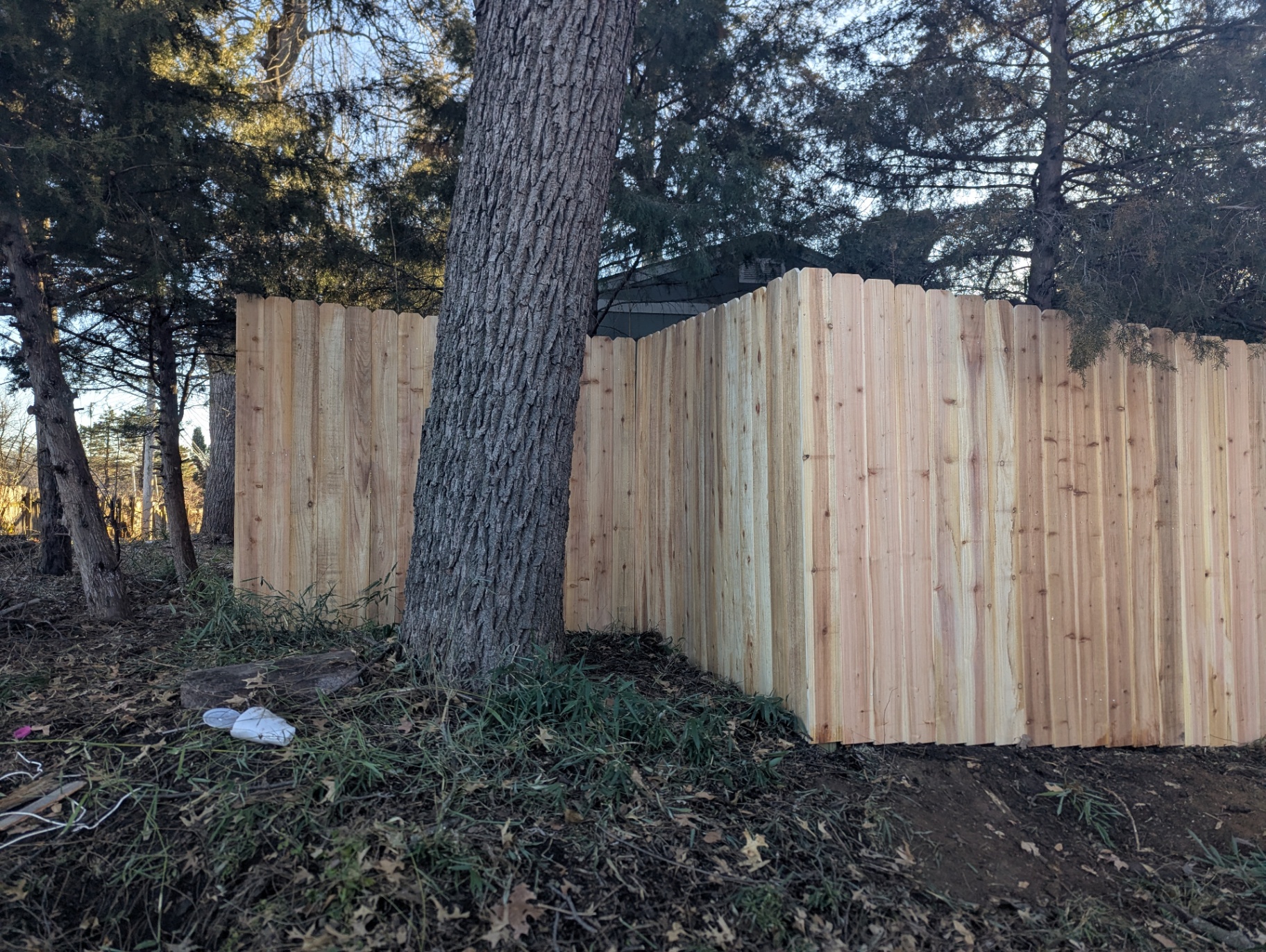 6 ft Western Red Cedar privacy fence wrapping a corner around a mature tree in a wooded Kansas City, MO backyard