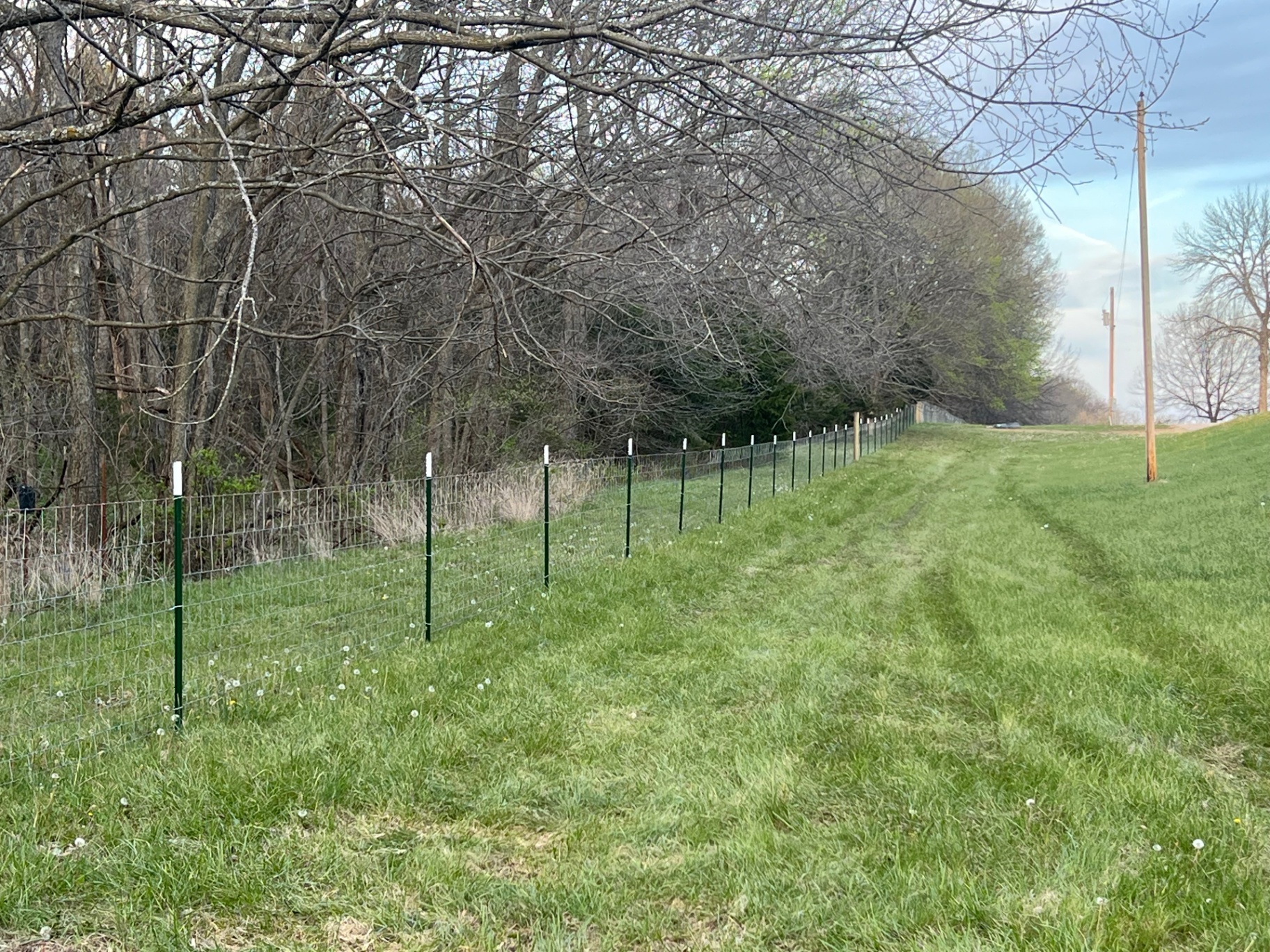 Long run of Red Brand no-climb woven wire goat fence on green t-posts following the tree line — Spring Hill, KS