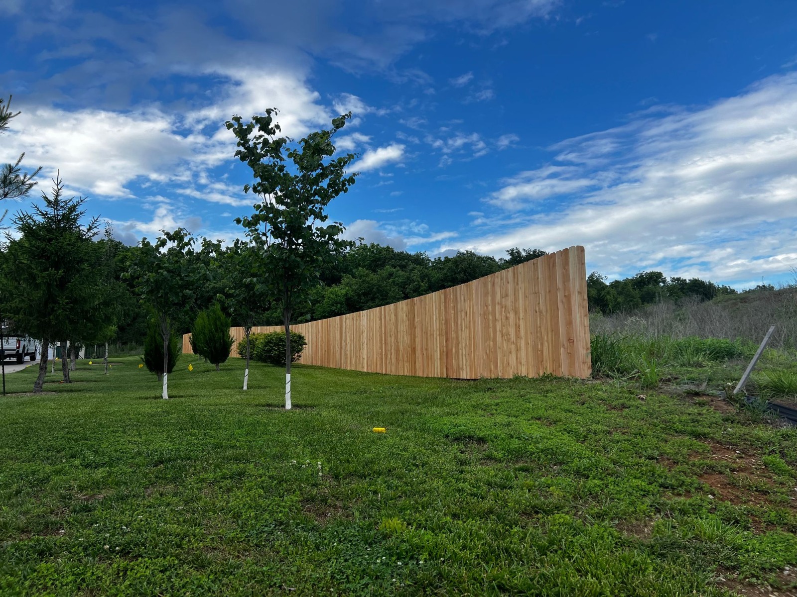 Curved 6 ft cedar privacy fence run with young trees in a Kansas City, KS backyard