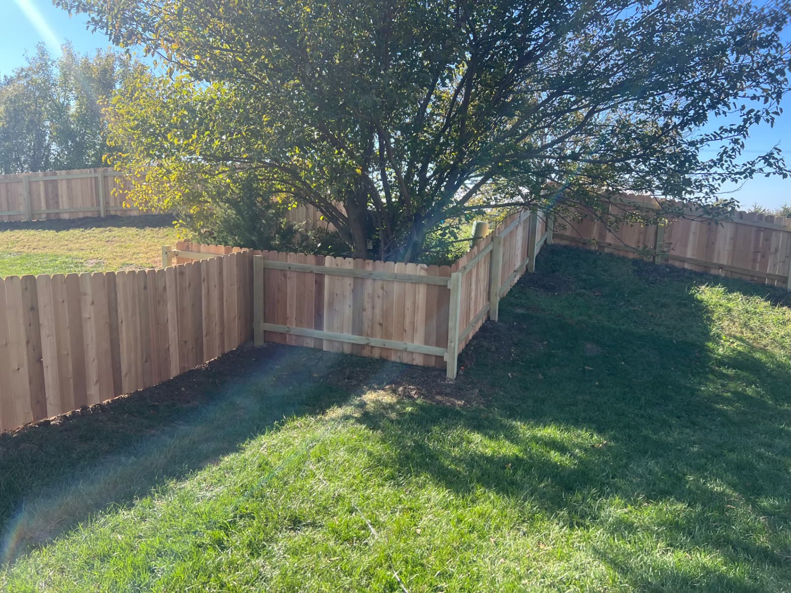4 ft Western Red Cedar fence angled in short sections around a mature tree — Paola, KS