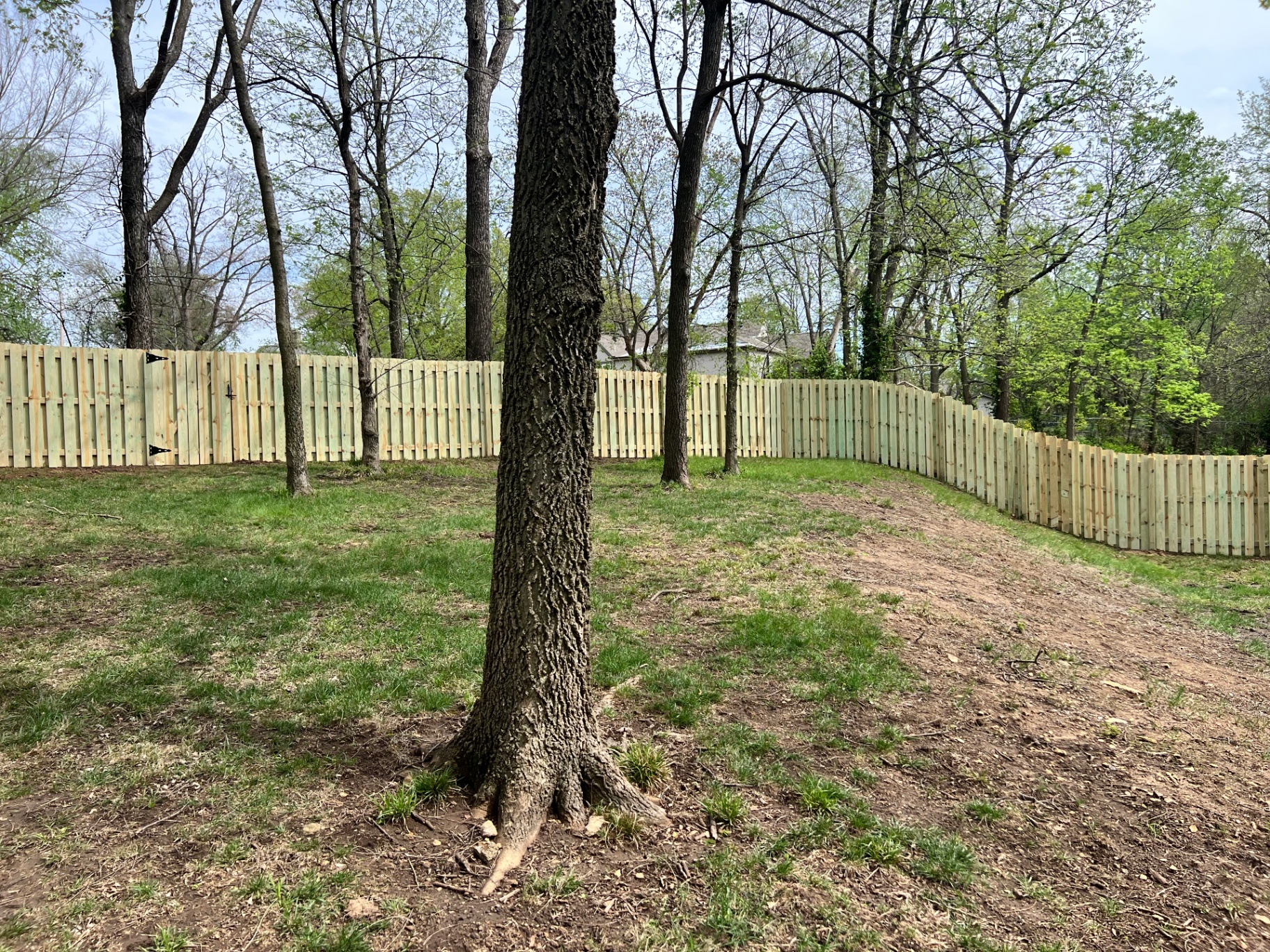 6 ft pressure treated pine shadowbox fence with gate curving along a wooded Shawnee, KS backyard 6 ft pressure treated pine shadowbox fence with gate curving along a wooded Shawnee, KS backyard